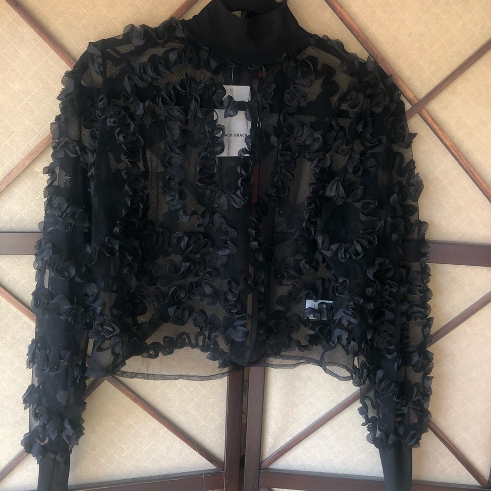 “Sheer Madness” Cropped Top